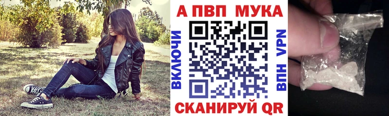мега как зайти цена наркотик Шенкурск APVP крисы CK