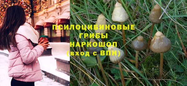 стафф Магас