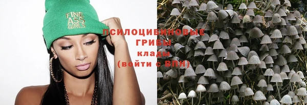 apvp Новочеркасск