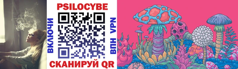 hydra сайт  Шенкурск  Псилоцибиновые грибы мухоморы  сколько стоит 
